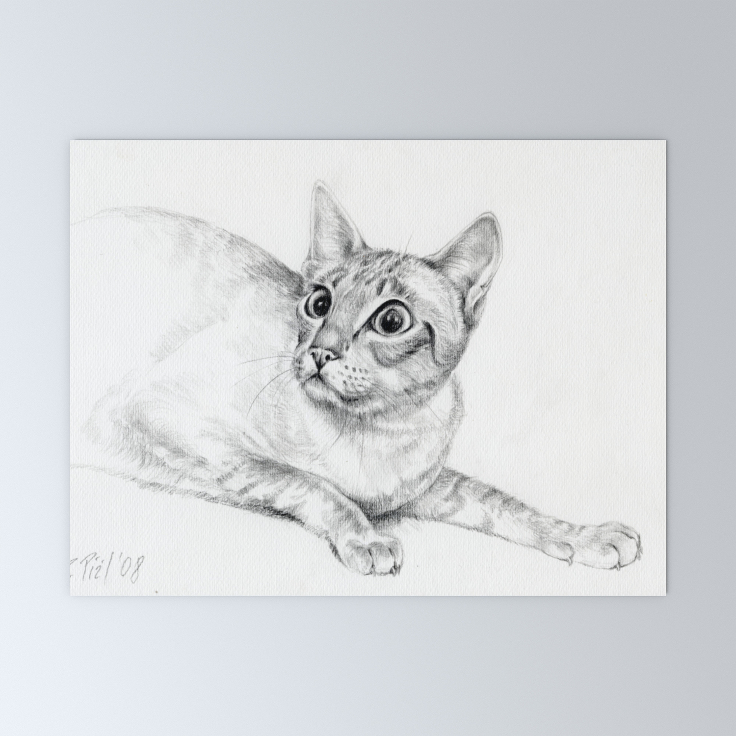 Siamese Cat Hunting Pencil drawing Pet illustration Decor for cat lover  Mini Art Print by CanisArtStudio | Society6