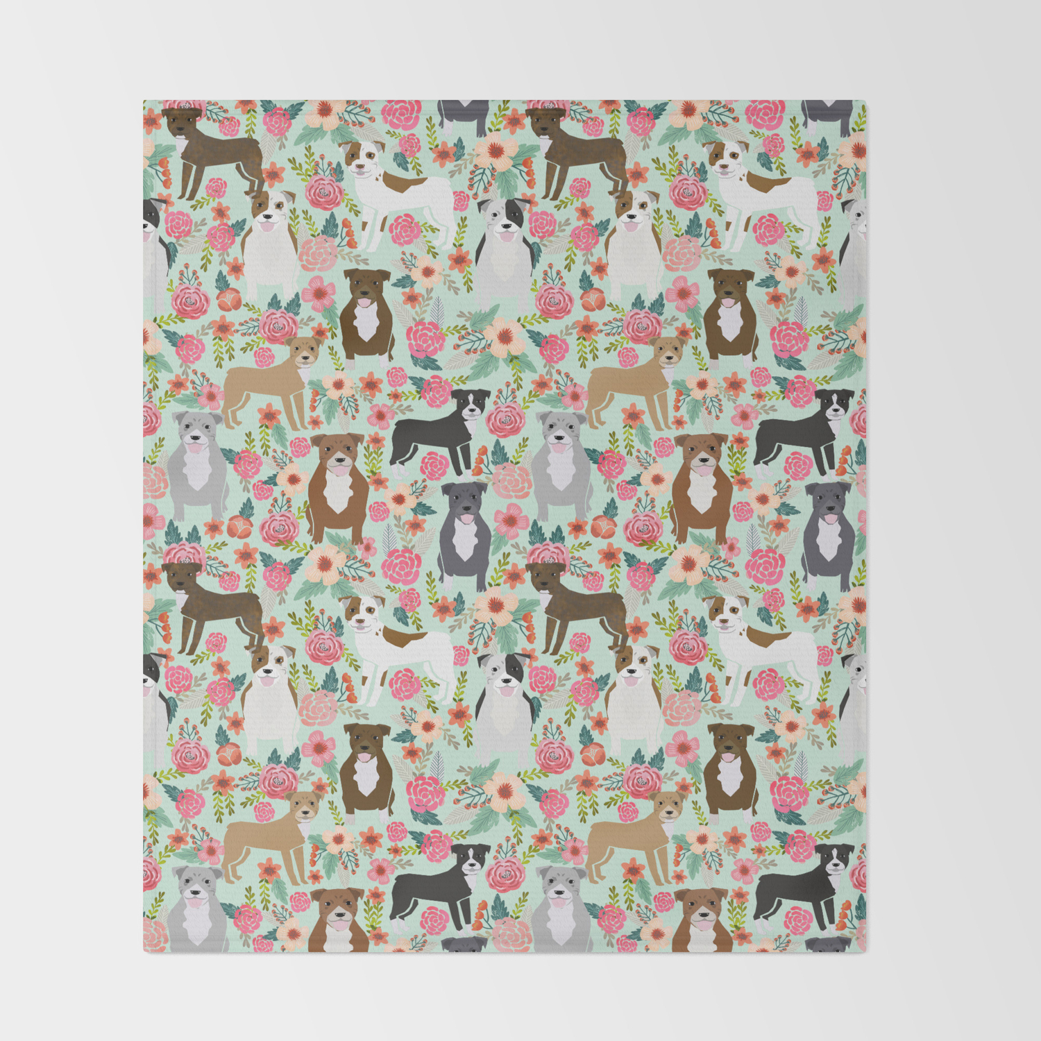 society6