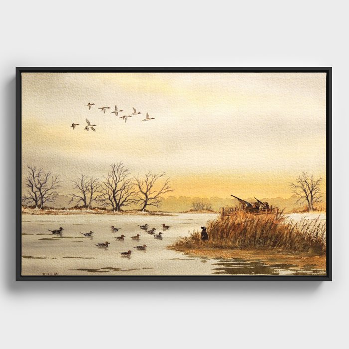 Hunting Pintail Ducks