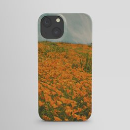 California Poppies 016 iPhone Case