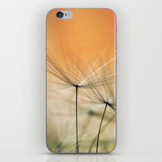 Apricot Chutes iPhone & iPod Skin