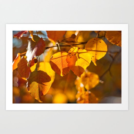 Embers Art Print