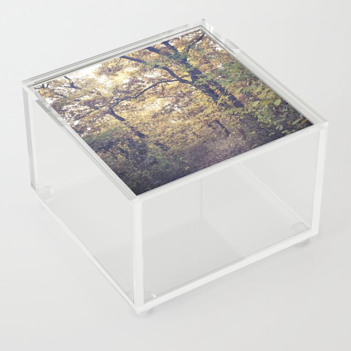 Autumn trail in the woods Acrylic Box