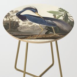 Louisiana Heron from Birds of America (1827) by John James Audubon Side Table