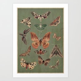 Night butterflies Art Print