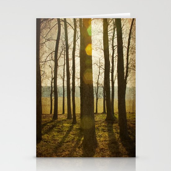 Afternoon Sunlight with Lens Flare Stationery Cards