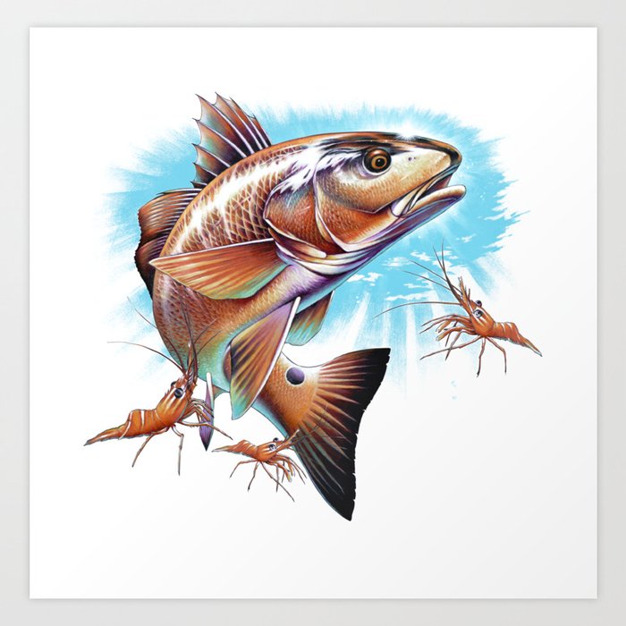 Redfish Art Print