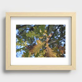 oak leaves Recessed Framed Print