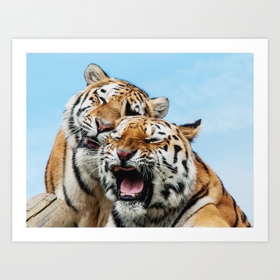 TIGERS - DOUBLE TROUBLE Art Print