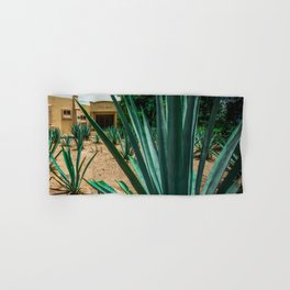 Mexico Photography - Agave Plant In A Mexican Garden Hand & Bath Towel