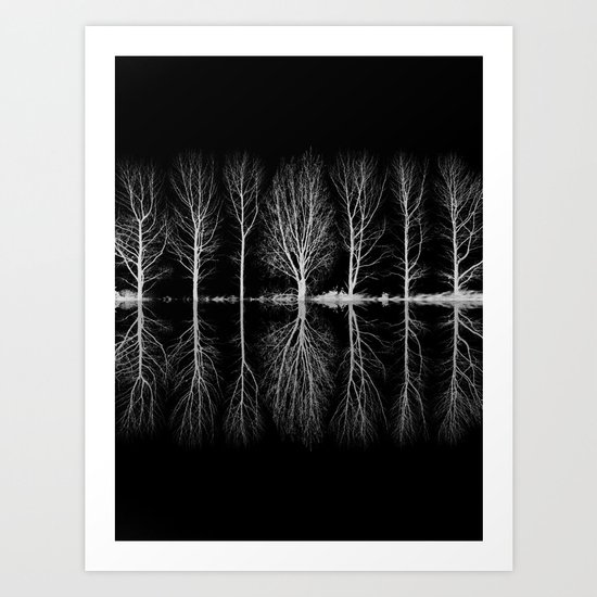Echo In The Trees Art Print