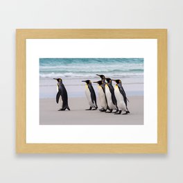 King Penguins on the Beach Framed Art Print
