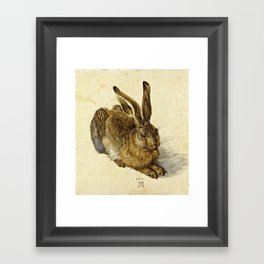 Albrecht Durer - Hare Framed Art Print