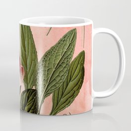 Vintage Botanical Illustration Collage, Foxgloves, Digitalis Purpurea Coffee Mug