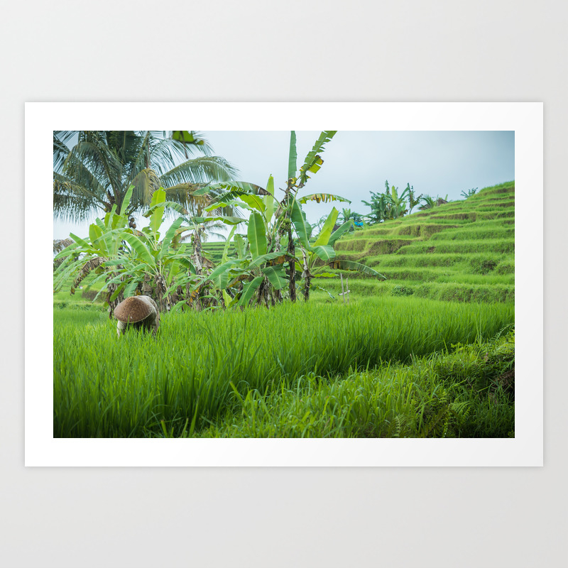 Jatiluwih Rice Fields 2 Art Print