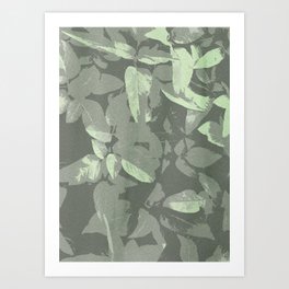 Leaves Nature Abstract Illustration Art Print