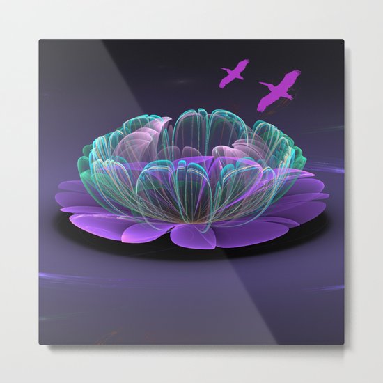 Water lily in a purple pond Metal Print
