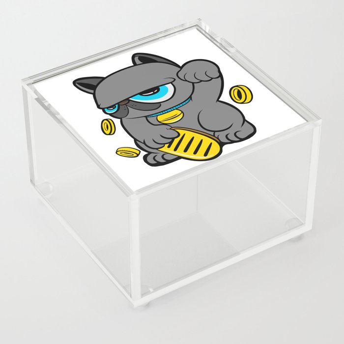cat Acrylic Box