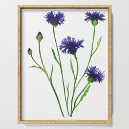Cornflower, Watercolor Painting Serving Tray
