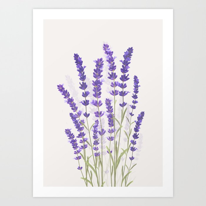Lavender II Art Print