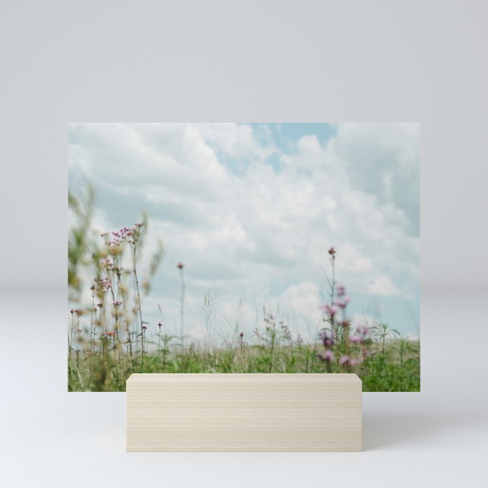 Wildflower Sky - Clouds and Flowers Mini Art Print