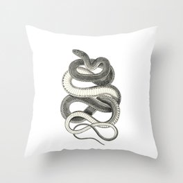 snake vintage style print serpent black and white 1800's Throw Pillow