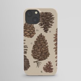 Pinecones iPhone Case