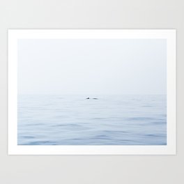 Whale Watching, Mirissa, Sri Lanka Art Print