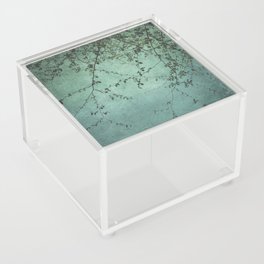 Under the Tree, Looking Up Acrylic Box