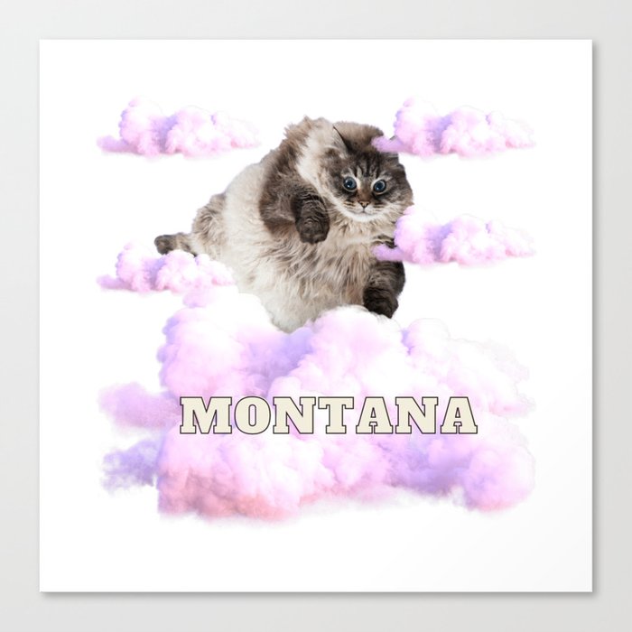 Montana summers Canvas Print