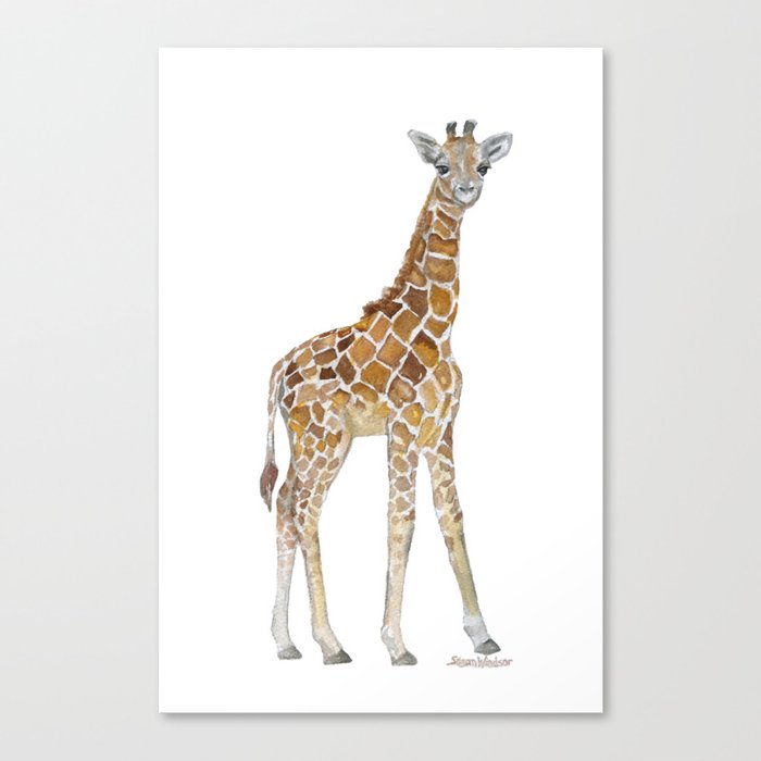 Baby Giraffe Watercolor Painting Canvas Print By Susanwindsor