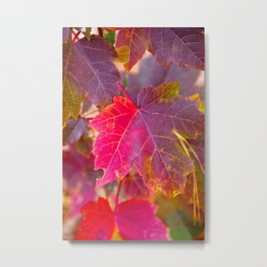 Fall Party Metal Print