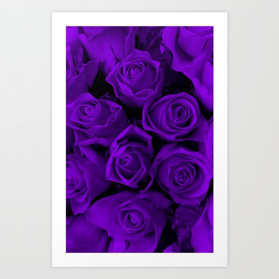 Purple Roses Art Print