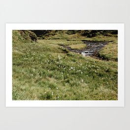 stream in the mountains Art Print