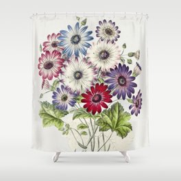 Colorful Chrysanthemums Shower Curtain