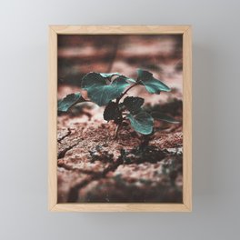 Earth Framed Mini Art Print