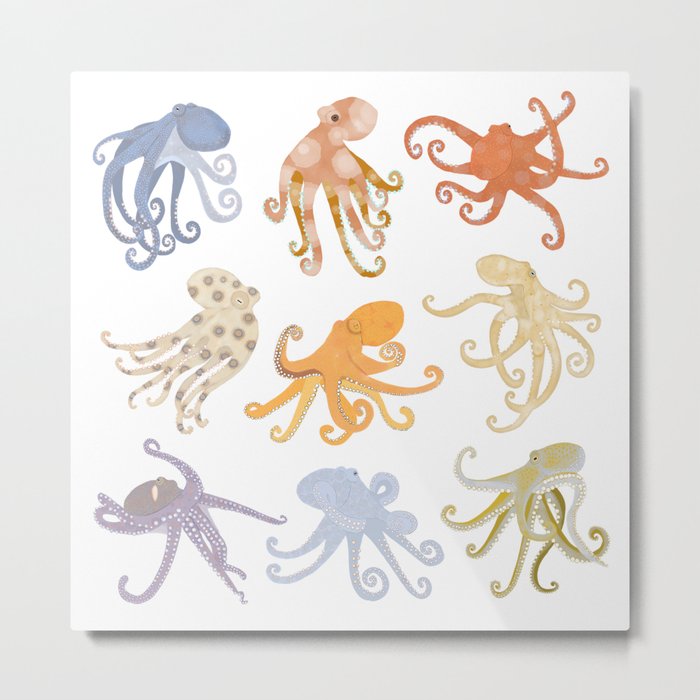 Octopuses Metal Print