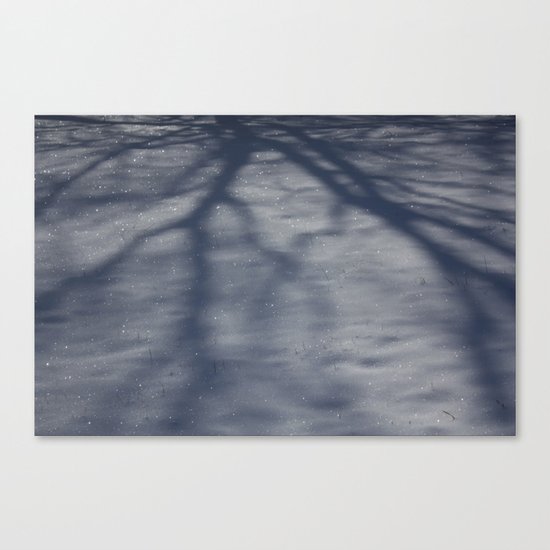Snowy Shadow Canvas Print