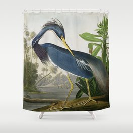 John James Audubon Louisiana Heron Painting Shower Curtain