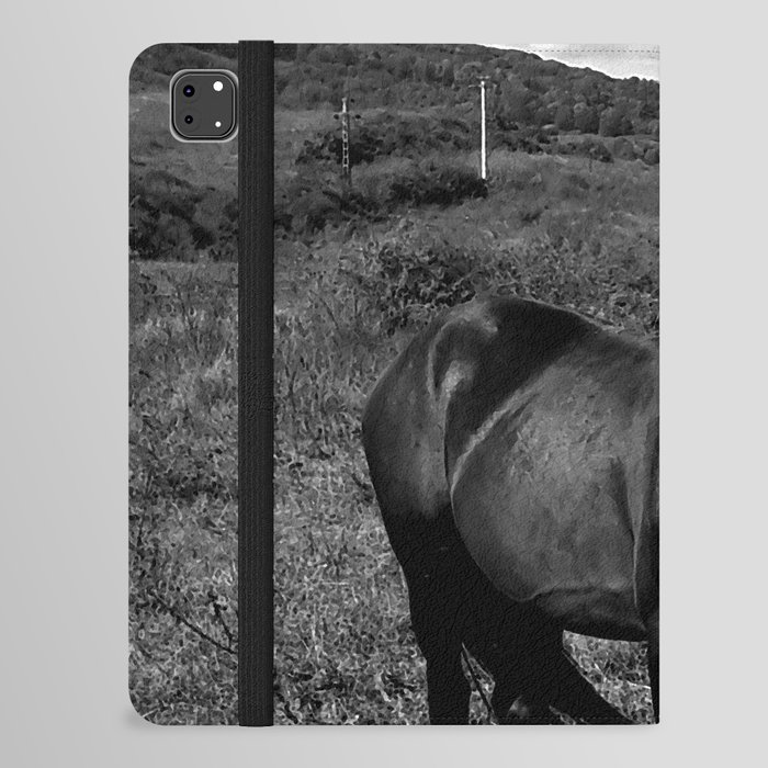 Monochrome black horse on the field in the summertime iPad Folio Case