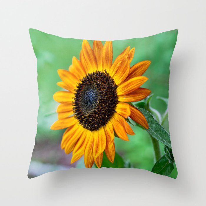 Sun Salutations Throw Pillow