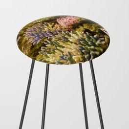 Coral Reef 2 Counter Stool