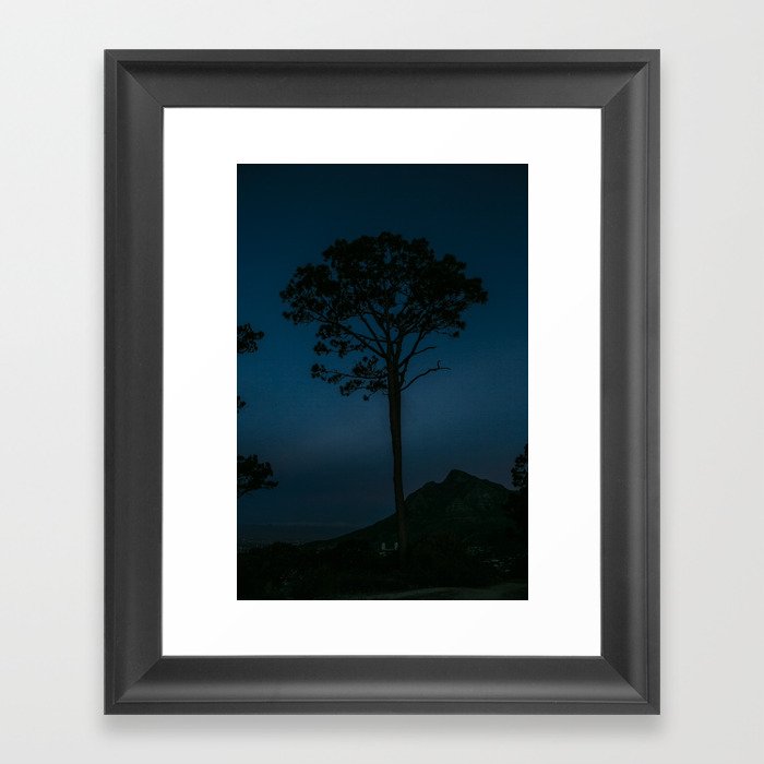 South Africa Cape Town | tree at dawn | travel photography Framed Art Print