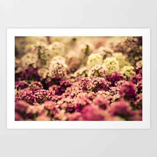 Serendipitous Moment Art Print