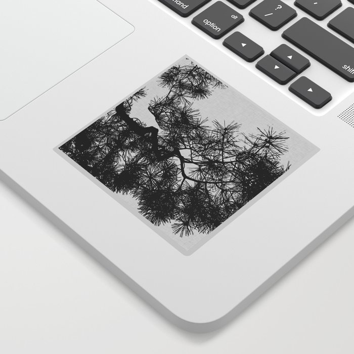 Pine Tree Black & White Sticker