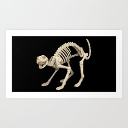 Cat Skeleton Art Print