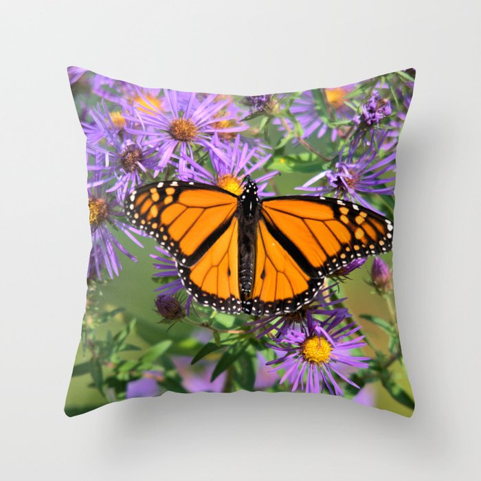 Monarch Butterfly on Wild Asters (square) Throw Pillow