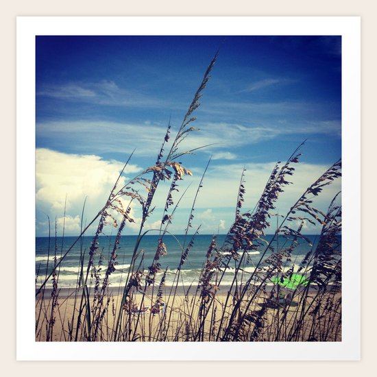 Through The Reeds Art Print