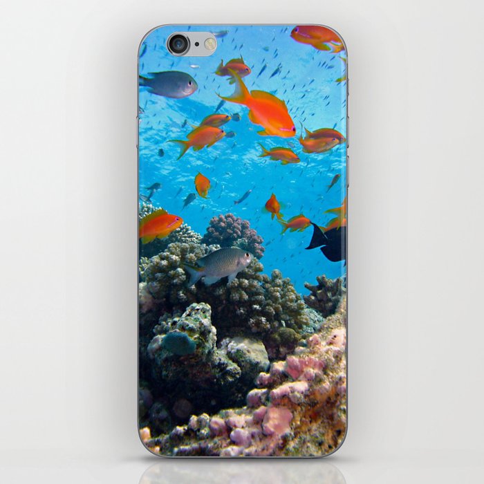 Underwater Photography Coral Reef iPhone Skin