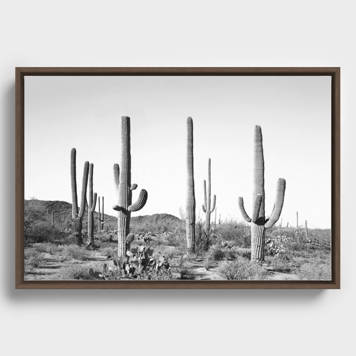 Grey Cactus Land Framed Canvas